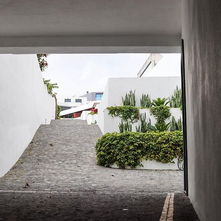 Sao Miguel Charming House By Lfc Apts Ponta Delgada Exterior foto